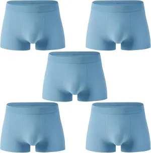 Andongnywell Men's Sexy Ice Silk Boxer Briefs Underwear Seamless Breathable Short Leg Underpants 5 Pack Knickers