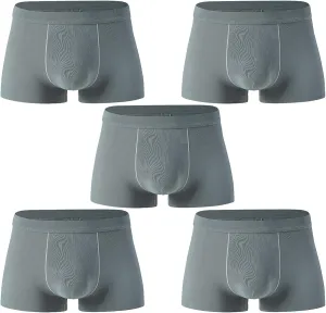 Andongnywell Men's Sexy Ice Silk Boxer Briefs Underwear Seamless Breathable Short Leg Underpants 5 Pack Knickers