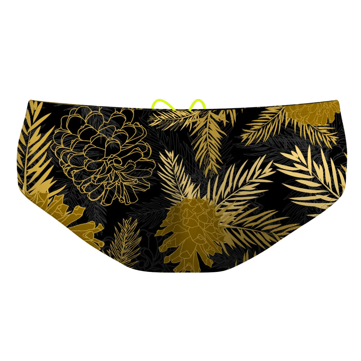 Aspen Classic Brief Swimsuit