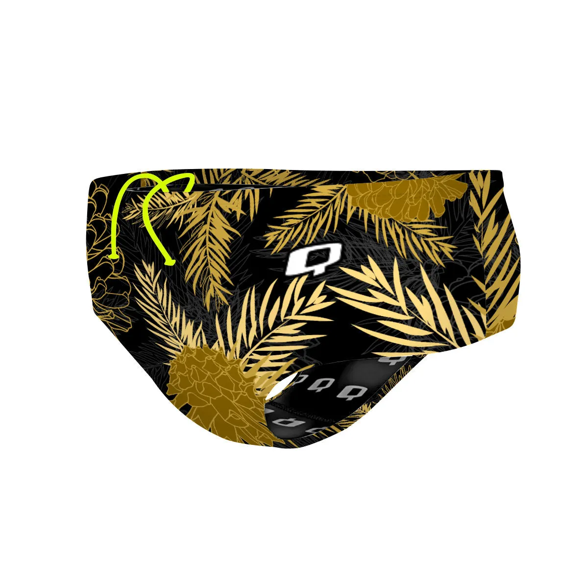 Aspen Classic Brief Swimsuit