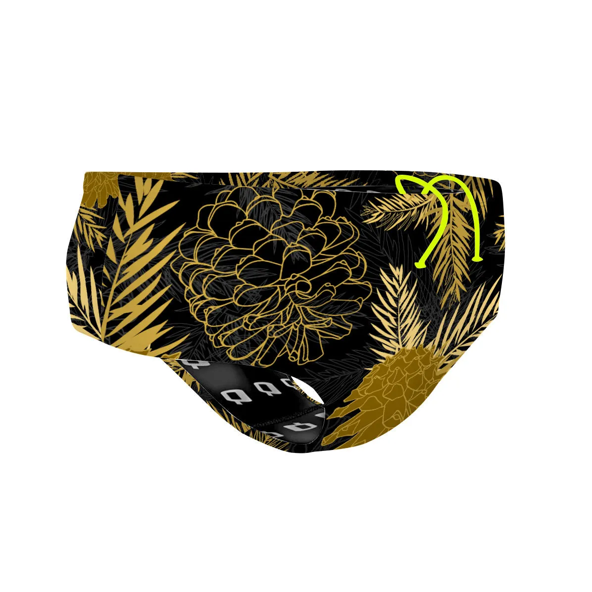 Aspen Classic Brief Swimsuit