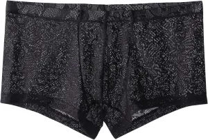 JEsilunmaMY Mens Lace Low Waist Sexy Underwear Solid Color Ice Silk Breathable Boxer Briefs See Through Pouch Panties