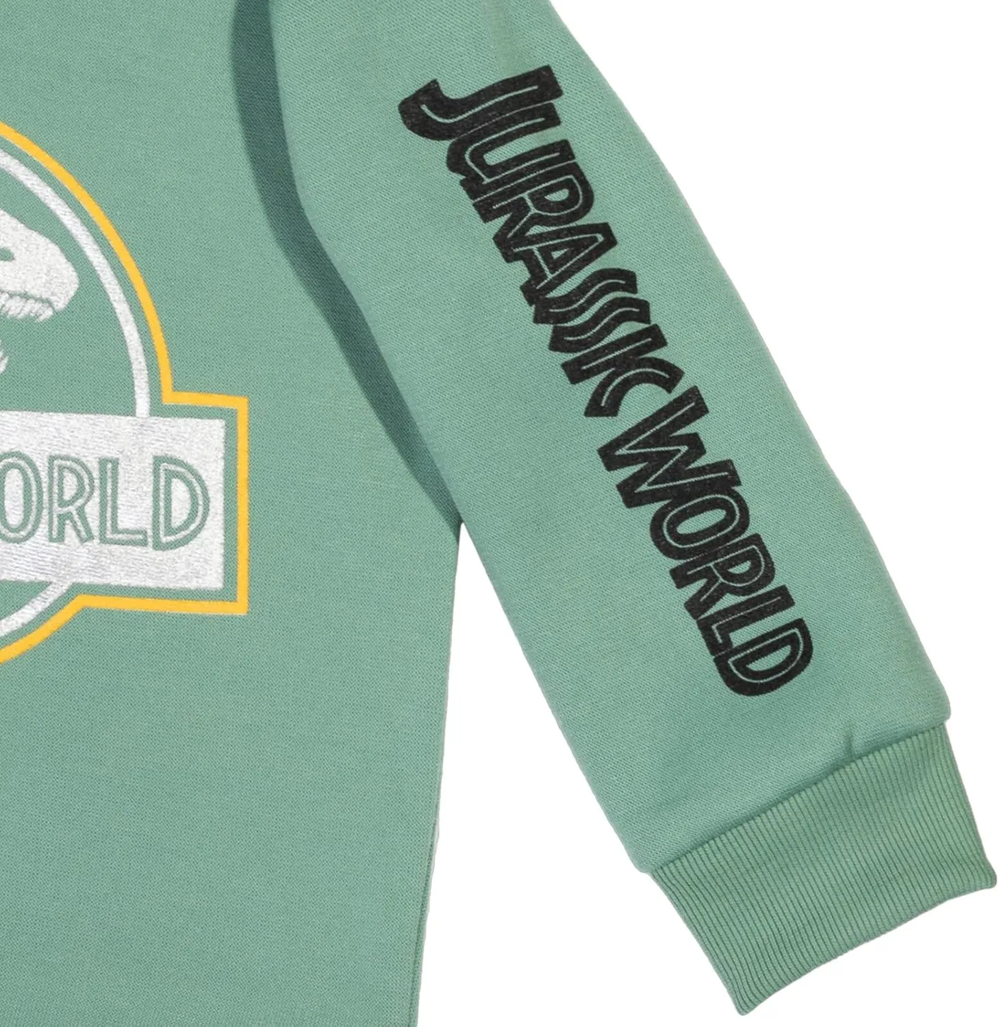 Jurassic World Dinosaur Girls Fleece Pullover Hoodie Toddler to Big Kid