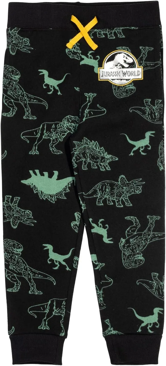 Jurassic World Dinosaur Girls Fleece Pullover Hoodie Toddler to Big Kid