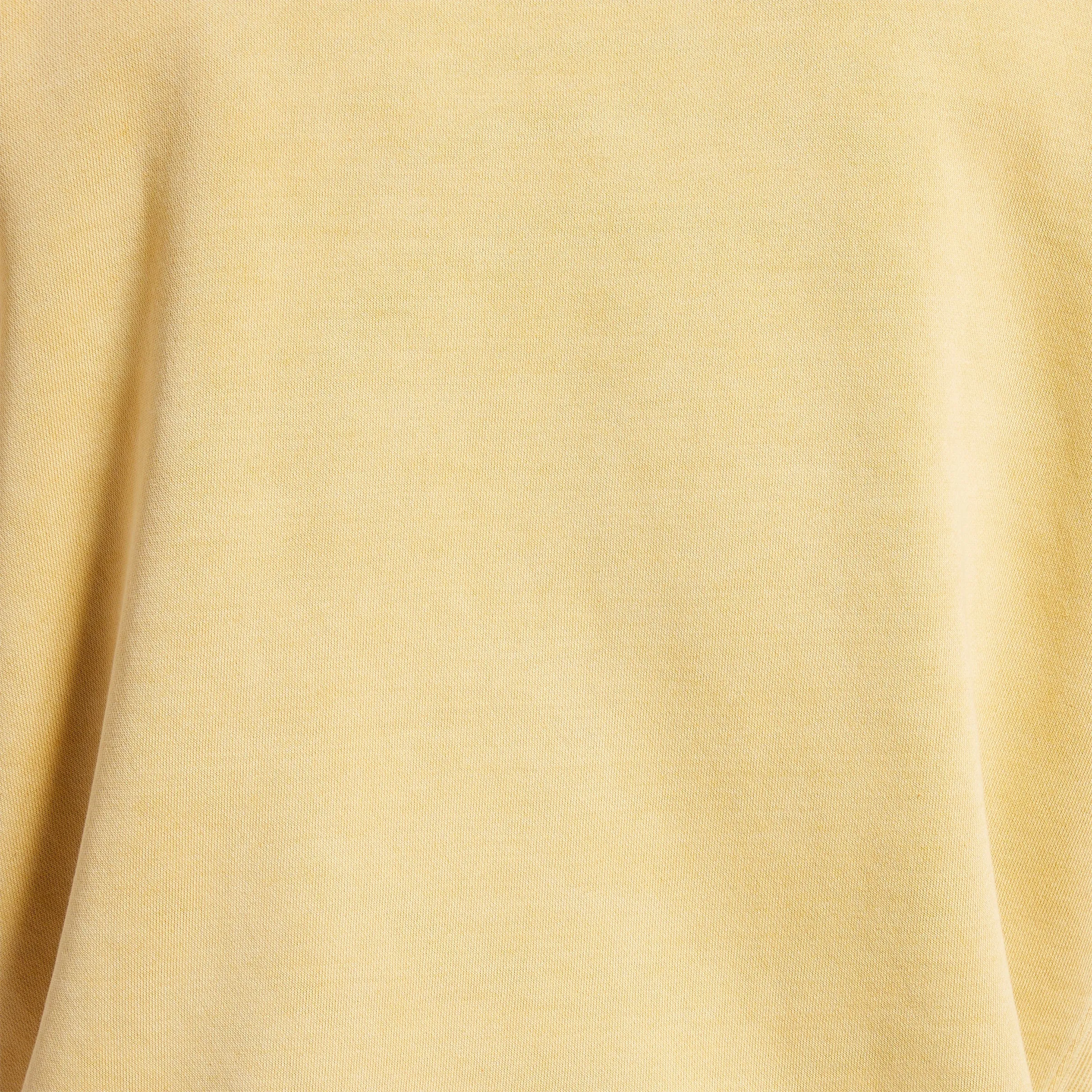 Reebok Apparel Men Classics Natural Dye Hoodie Brgoch